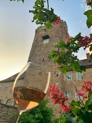 Bild vergrößern: Wein auf der Vorburg