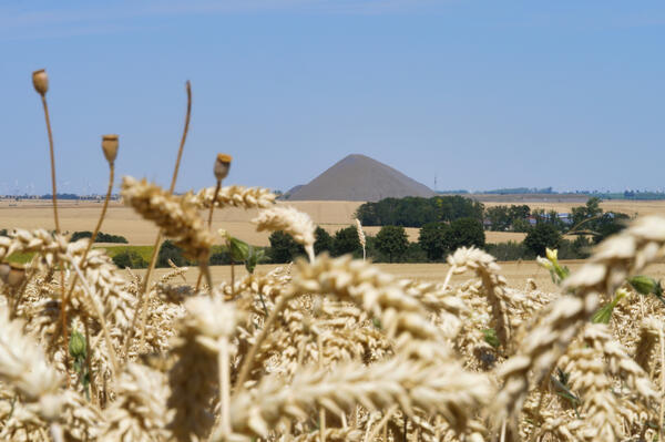 Bild vergrößern: Spitzhalde mit Feld