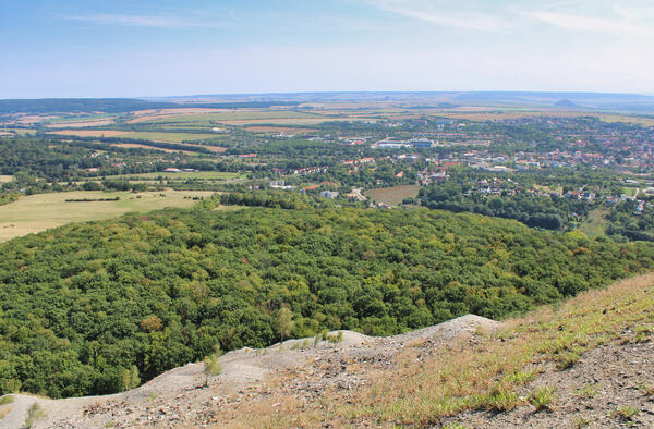 Bild vergrößern: Blick von der Halde Hohe Linde auf die Kreis- und Rosenstadt Sangerhausen