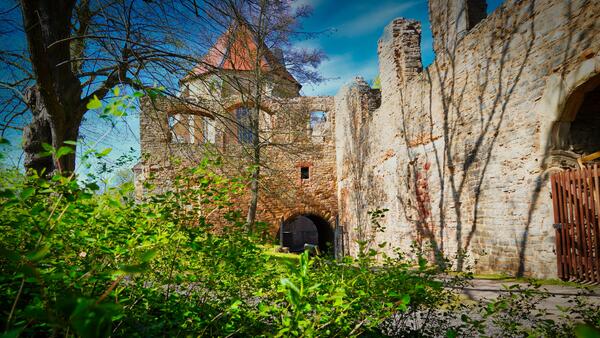 Bild vergrößern: Schloss Mansfeld ein Detail